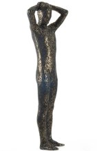 Black and Gold Shiny Full Body Suit Black and Gold Shiny Full Body Suit