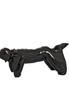 Dog Fetich PVC Zentai Suit Dog Fetich PVC Zentai Suit